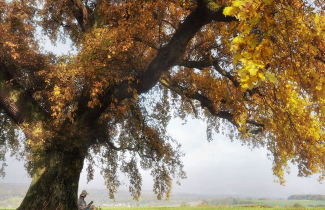 Holiday Apartment Sunflower - Foto 17