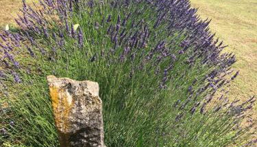 Stancieta Ulrihi - Foto 3