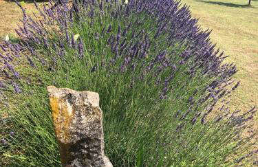 Stancieta Ulrihi - Foto 3