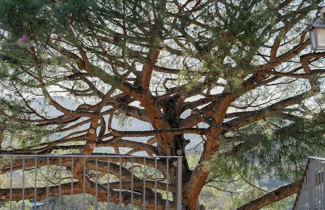 Nonno Luigino - Photo 57