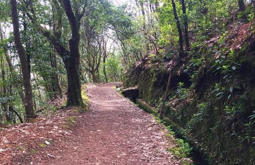 Sweet Home for Holidays - Photo 58