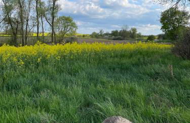 Ferienhaus Gerswalde - Photo 10