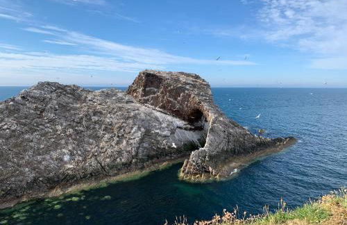 Stunning Rural Mill House nr beach and harbour - Foto 25