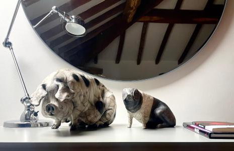 Hay On Wye Welsh Townhouse in Hay centre - Foto 48