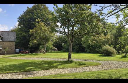 The Stable - Foto 21