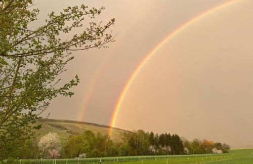 Ferienwohnungen Auszeit Taubertal - Foto 32