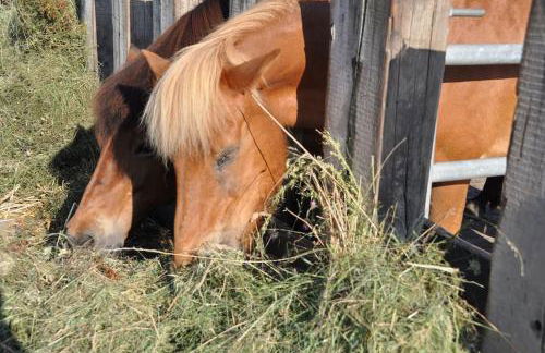 Ferienwohnung Lisa 95qm, angenehm ruhig - Foto 2