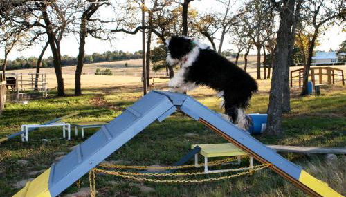 Pet-Friendly Getaway with a Hot Tub near Austin Texas - Foto 2