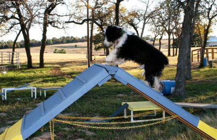 Pet-Friendly Accommodation on a Ranch in McDade, Texas - Foto 15