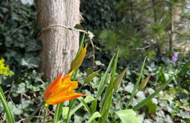 Pokój Przy Kominku - Foto 25