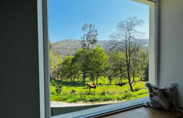 Streliciahouse - Foto 6