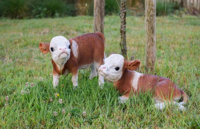 Apartment in Nieuwpoort Near the Beach - Foto 33