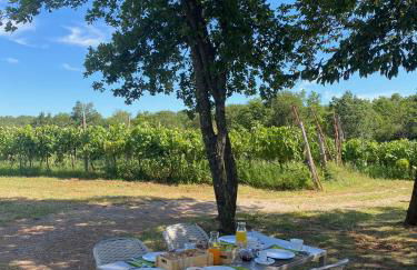 Cardo Boutique&Wine Resort - Foto 14