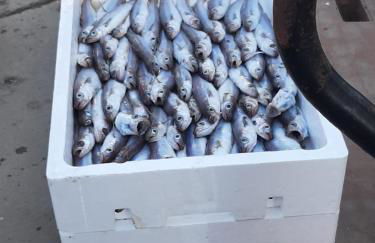 HACIENDA DEL MARQUES III To Chill - Foto 56