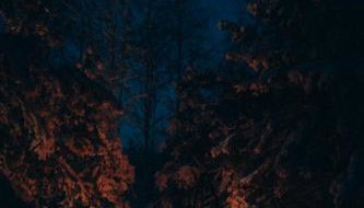 Charszówka - Photo 3