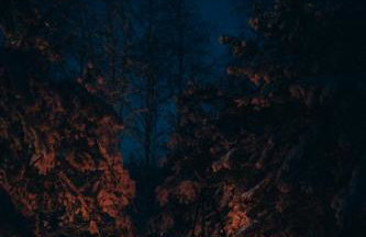 Charszówka - Foto 3