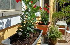 Appartamento A casa di Bert - Catania - Foto 20