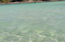 Cobertura Duplex na Praia do Forte com Piscina Privativa, Churrasqueira, 2 Vagas, Melhor Trecho - Foto 43