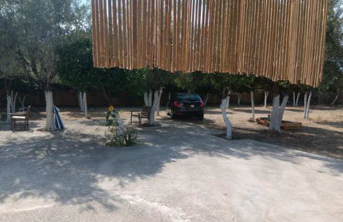 ΆΘΟΣ (ATHOS) - Foto 27