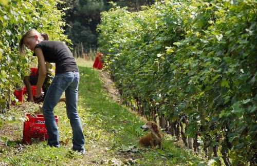 Residenza la beccata - Photo 26