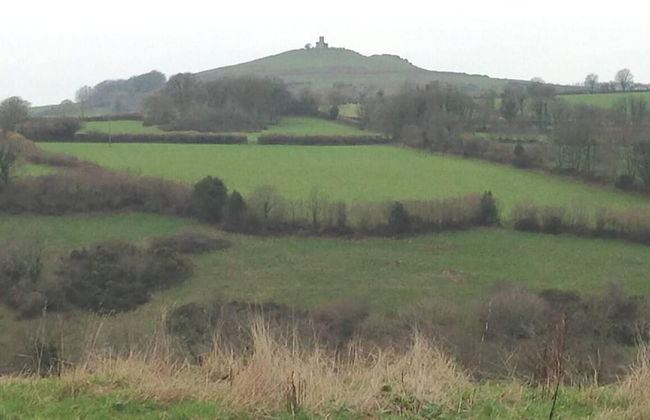 Impeccable 1-bed Cottage on the Edge of Dartmoor - Foto 12