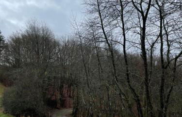 Ferienhaus Olaf & Olga Buchali GbR - Foto 27