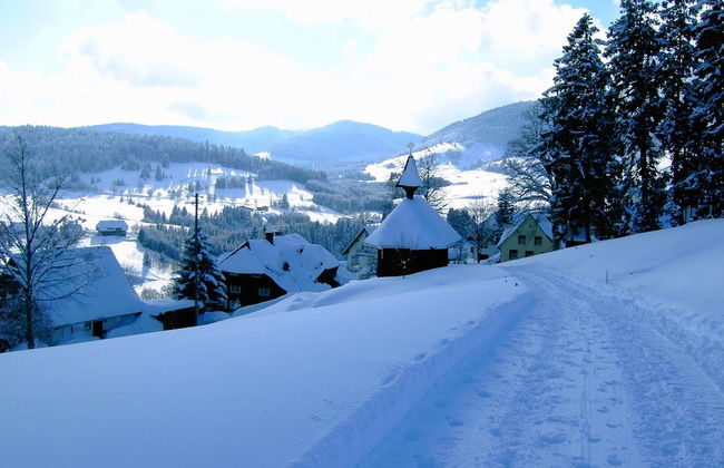 Ferienwohnung, Bernau - Foto 23