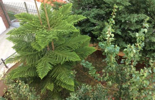 Achladi Beach - Photo 72