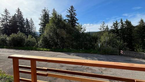 Das kleine Haus Feldberg für Paare - Foto 5