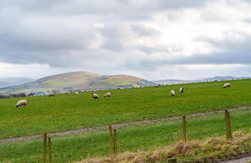 12 Ullswater Suite - Whitbarrow Village - Photo 14