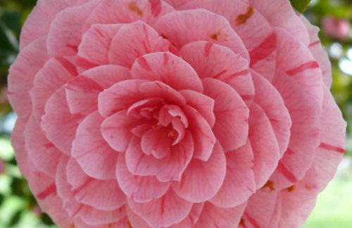 Casa vacanze Ester - Foto 64