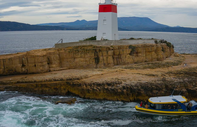 Balade en bateau sur la côte de Tasmanie - Photo 7