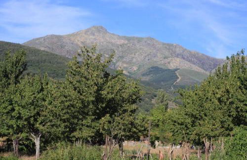 Hervas Centro Apartamento IDEAL FAMILIAS 6 adultos y 2 niños- - Foto 30