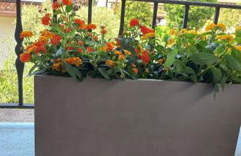 Appartamento Joanna - Foto 15