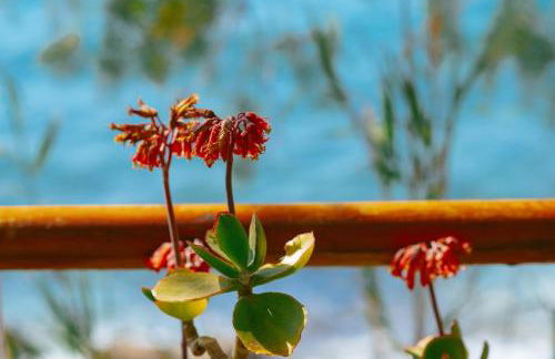 Aegean Heaven - Foto 45