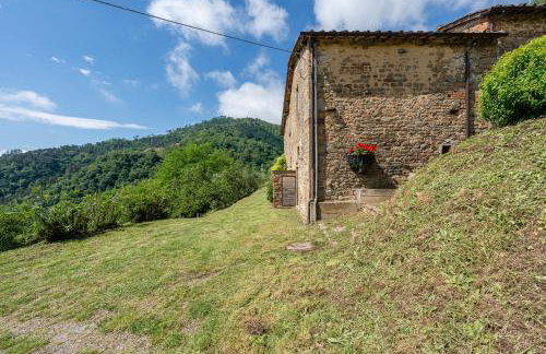 Fattoria di Pietrabuona - Foto 12