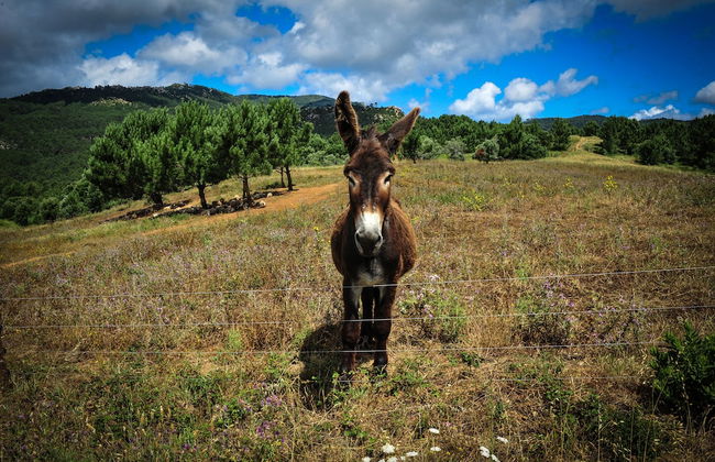 Cascais Estoril Apartment Near the Beach - Foto 37