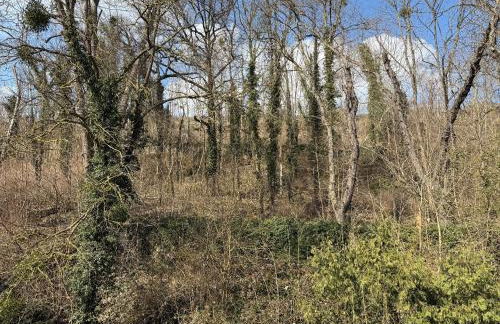 Schloss Zingst - Foto 32