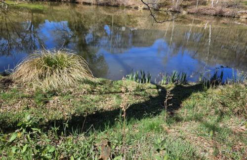 Le fournil à Mïette - Foto 42