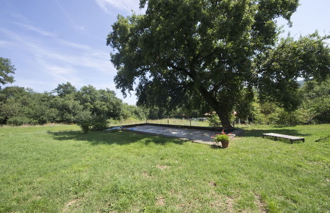 Agriturismo Il Casalino - Foto 21