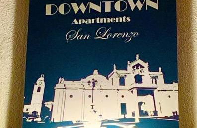 Downtown San Lorenzo - Foto 15