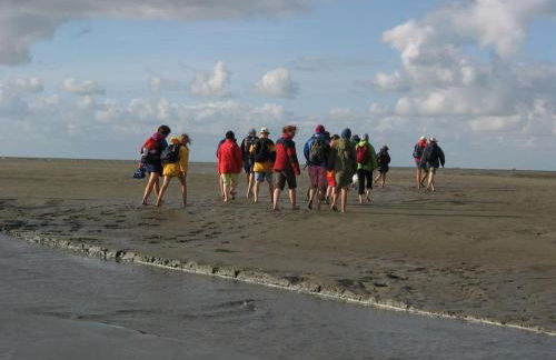 Landhaus op de Warft - Foto 34