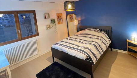 Appartement Très Cosy à 5 min Aéroport Genève - Foto 2