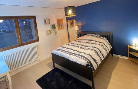 Appartement Très Cosy à 5 min Aéroport Genève - Foto 2