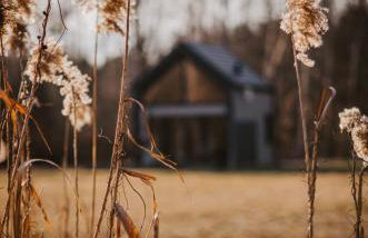 Bujanie w sitowiu - Foto 78