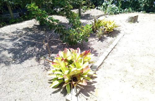 Recanto da Natureza - Foto 11