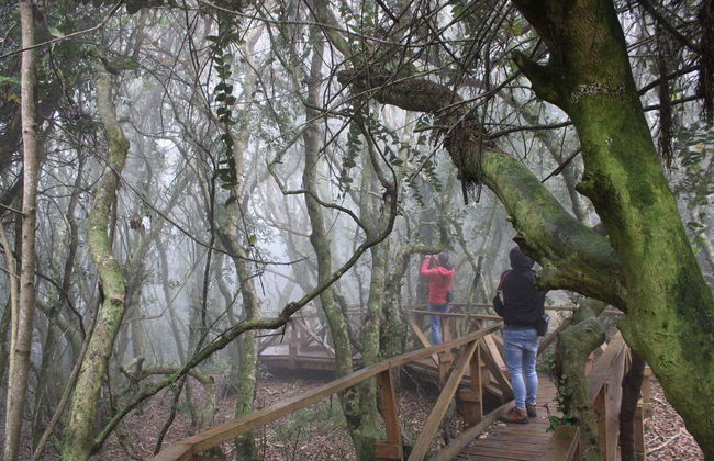 Fray Jorge National Park Trip - Photo 2