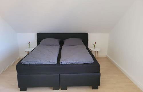 Ruhige Ferienwohnung auf dem Land - Foto 2