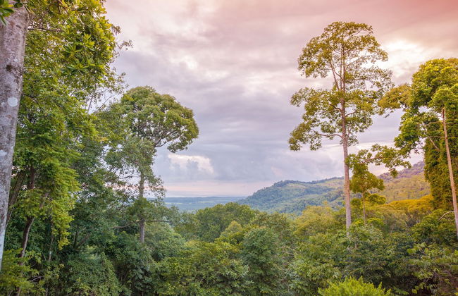 Casa Odi-SEA - Portasol Vacation Rentals - Photo 49