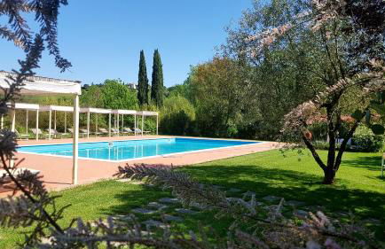 Tenuta i Massini - Foto 66